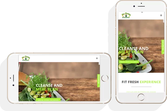 mobile friendly website samples